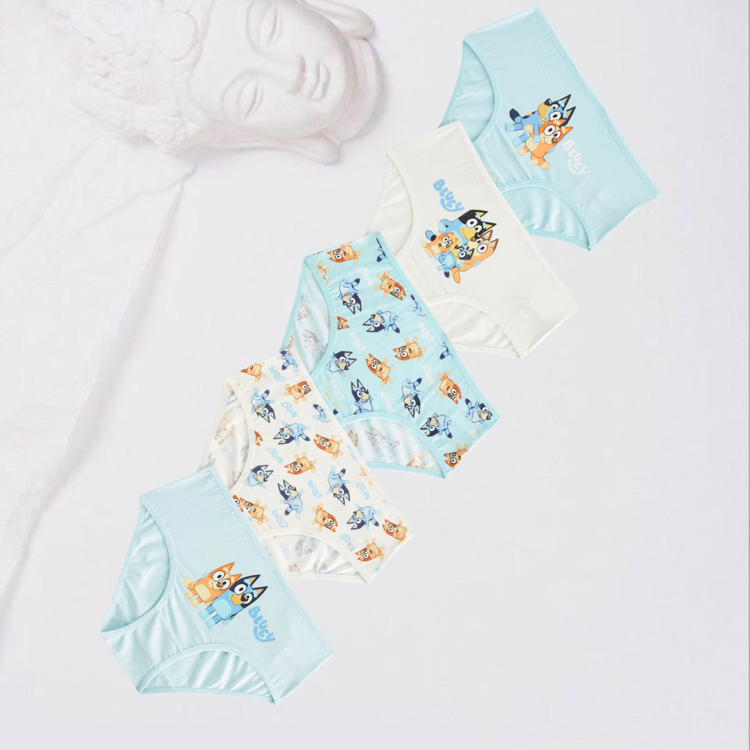 Pack por 5 panties estampados bluey