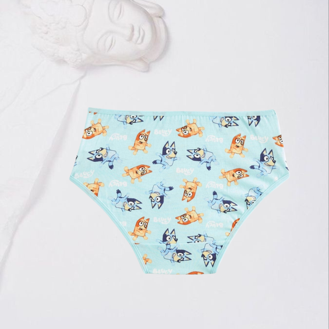Pack por 5 panties estampados bluey