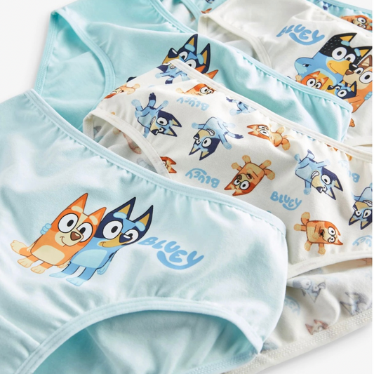 Pack por 5 panties estampados bluey
